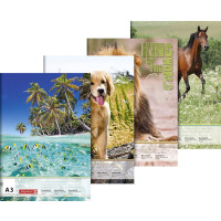 Brunnen Zeichenblock A3 mit Motiven 